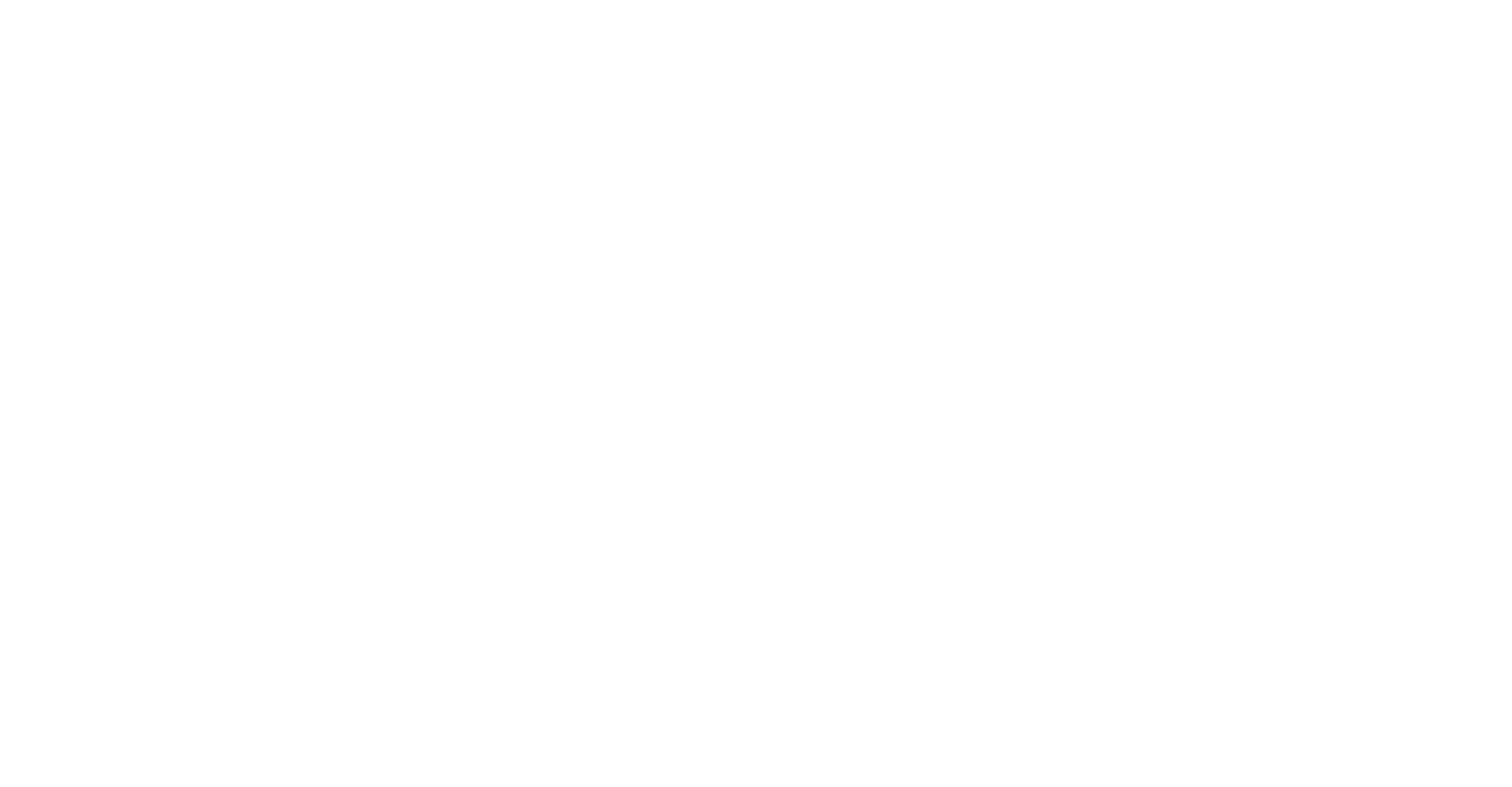 International Institute of Minnesota